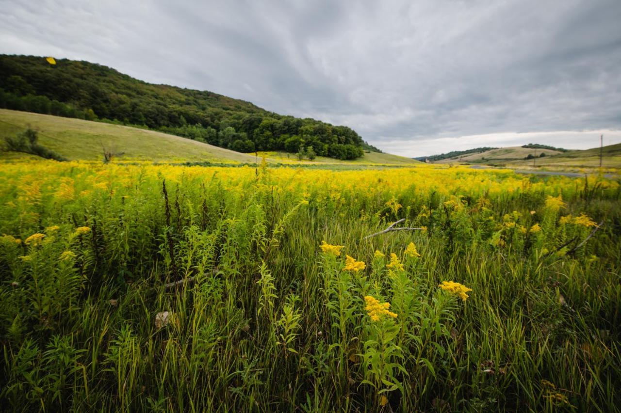 Vidéki vendégház a Bükkben, pezsgőfürdővel. Királd Exterior foto